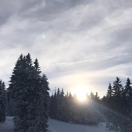 Lux Milmari Reko Premier 14 Копаоник