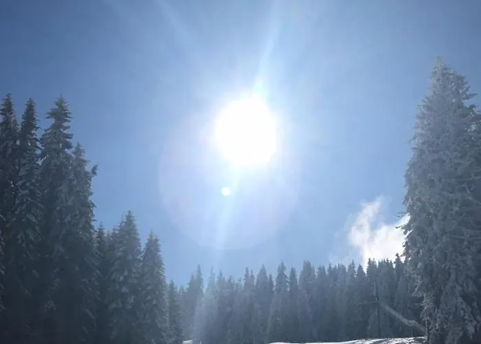 Lux Milmari Reko Premier 14 Kopaonik