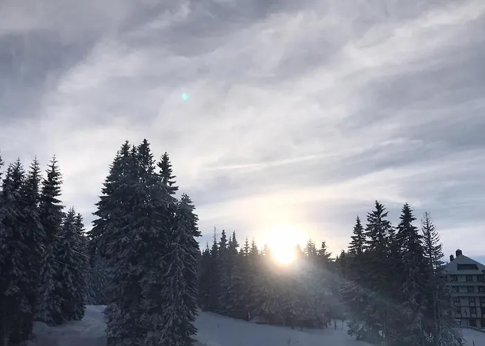 Lux Milmari Reko Premier 14 Kopaonik