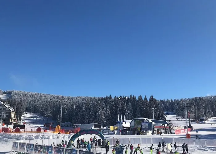 Lux Milmari Reko Premier 14 Kopaonik